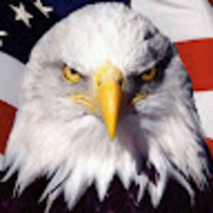 Meet your Posher, Bledi